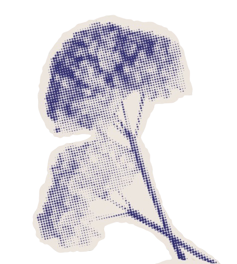 Flower graphic
